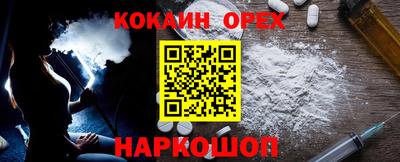 винт Камень-на-Оби