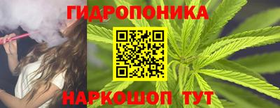 гидра Каменск-Шахтинский