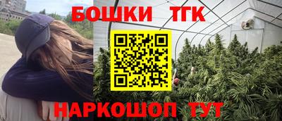 винт Камень-на-Оби