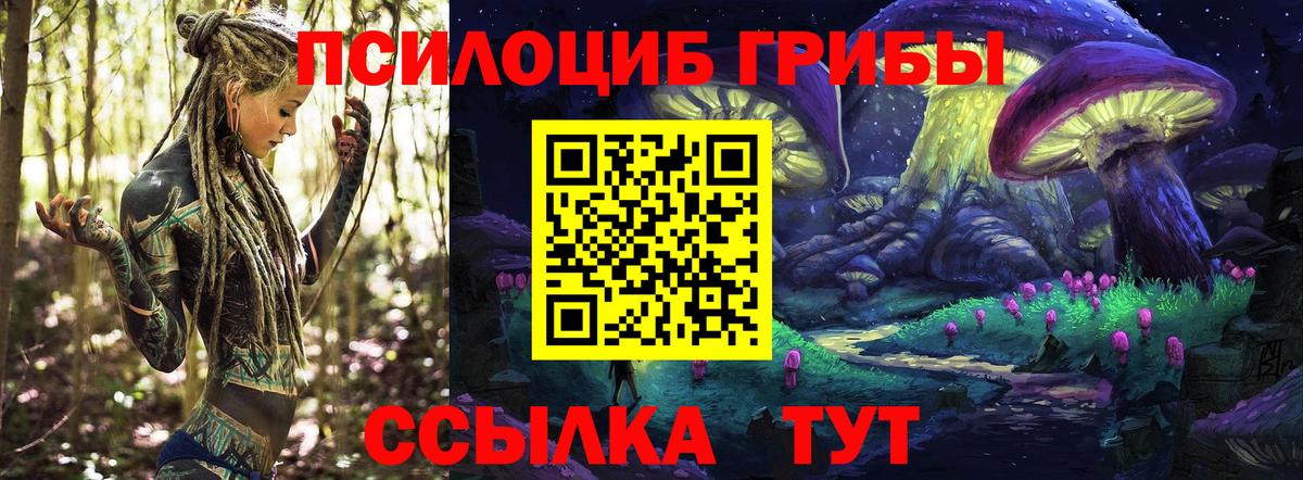 Псилоцибиновые грибы Psilocybe  Галлюциногенные грибы GOLDEN TEACHER  Вход с VPN  Бахчисарай 